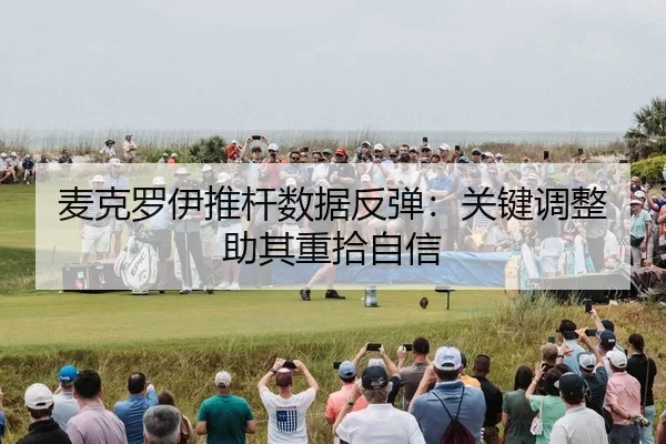 mai-ke-luo-yi-tui-gan-shu-ju-fan-tan-guan-jian-tiao-zheng-zhu-qi-zhong-shi-zi-xin-2-183.jpg
